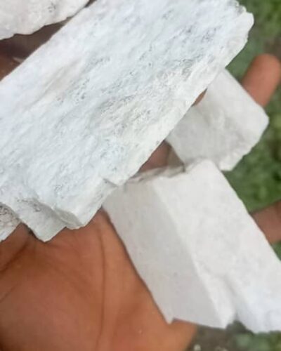 WhatsApp Image 2022-11-15 at 10.46.10 AM