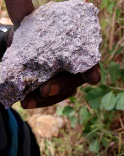 WhatsApp Image 2022-11-15 at 9.07.36 AM (1)