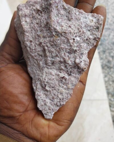 WhatsApp Image 2022-11-15 at 9.07.36 AM